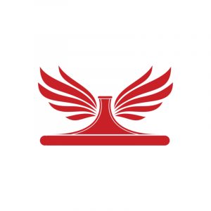 anthem carpet cleaning logo